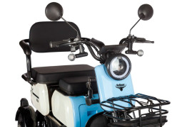 Трицикл электрический Rutrike Вега (зеленый)