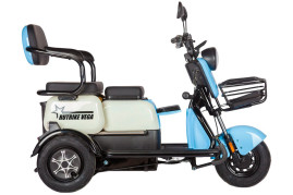Трицикл электрический Rutrike Вега (зеленый)