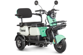 Трицикл электрический Rutrike Вега (зеленый)