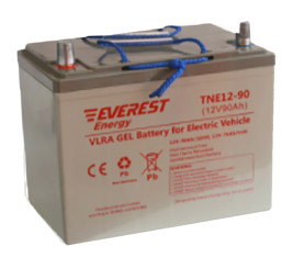 Тяговый аккумулятор Everest Energy TNE12-90 (76Ач, 12В, Gel)