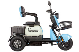 Трицикл электрический Rutrike Вега (черный)